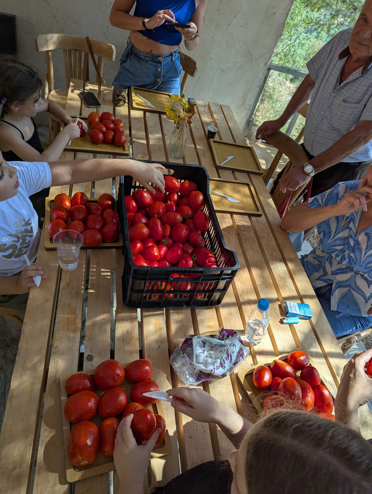 People preparing tomatoes on cutting boards at Sannour