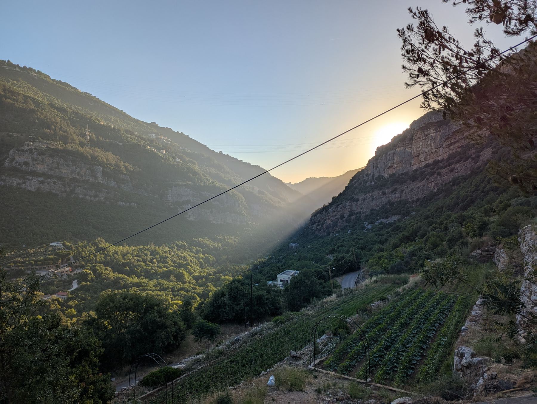 Terraces and valley light at Sannour Farm