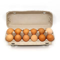 Chicken Eggs