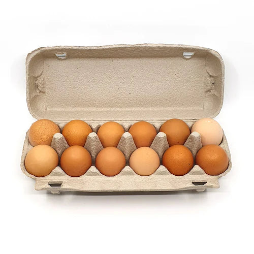 Chicken Eggs